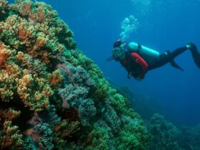 Duik in de wonderen van Tenggol Island, Terengganu, Maleisië