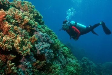 Duik in de wonderen van Tenggol Island, Terengganu, Maleisië