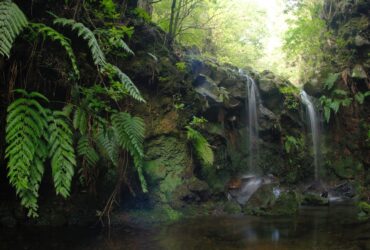 Vier mooie levada-wandelroutes op Madeira