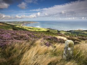 Leuke winteractiviteiten langs de Engelse oostkust