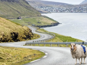 Het beste van winter en kerst op de Faeröer
