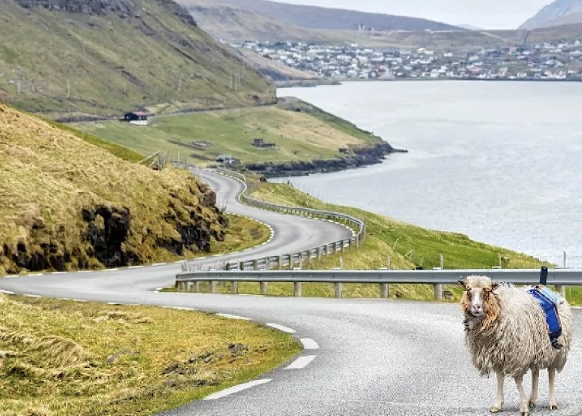 Het beste van winter en kerst op de Faeröer