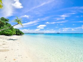 Waar moet je op letten bij het kiezen van een first minute?