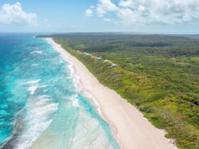 Ontdek de wonderen van Cat Island op de Bahama's