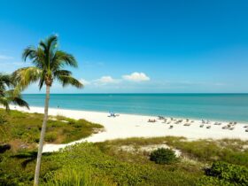 5 redenen waarom Fort Myers bovenaan je reislijst zou moeten staan