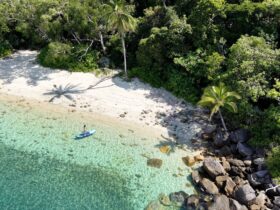 Dunk Island, Eiland van Vrede en Overvloed