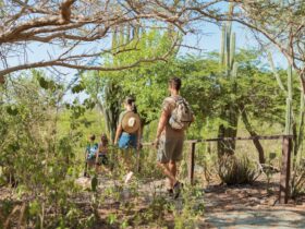 Wandelen in Nationaal Park Arikok op Aruba
