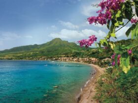 Vervoer op Martinique: Wat je echt moet weten