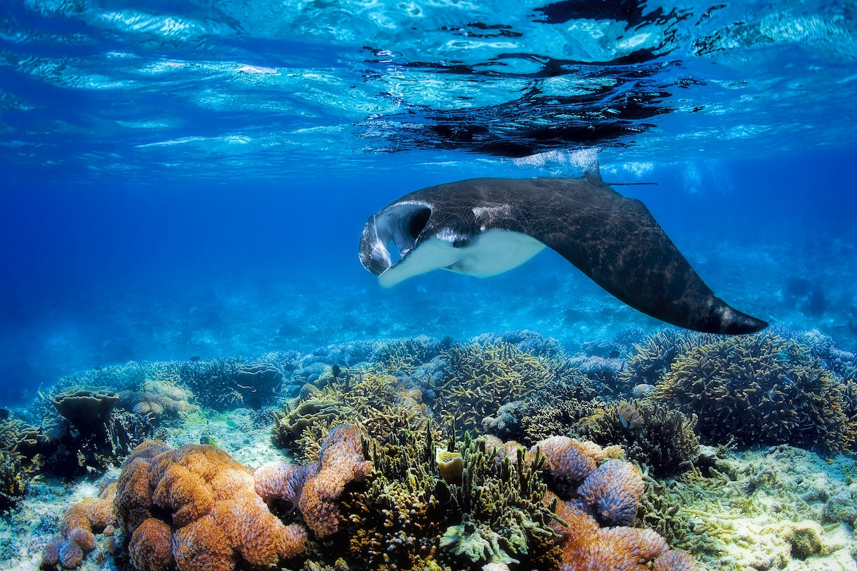 Vijf levensveranderende ervaringen in Fiji
