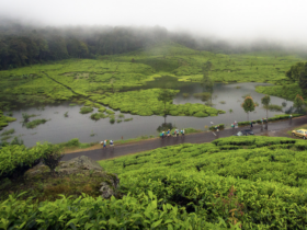 Indonesië's regenseizoenbestemmingen voor unieke avonturen