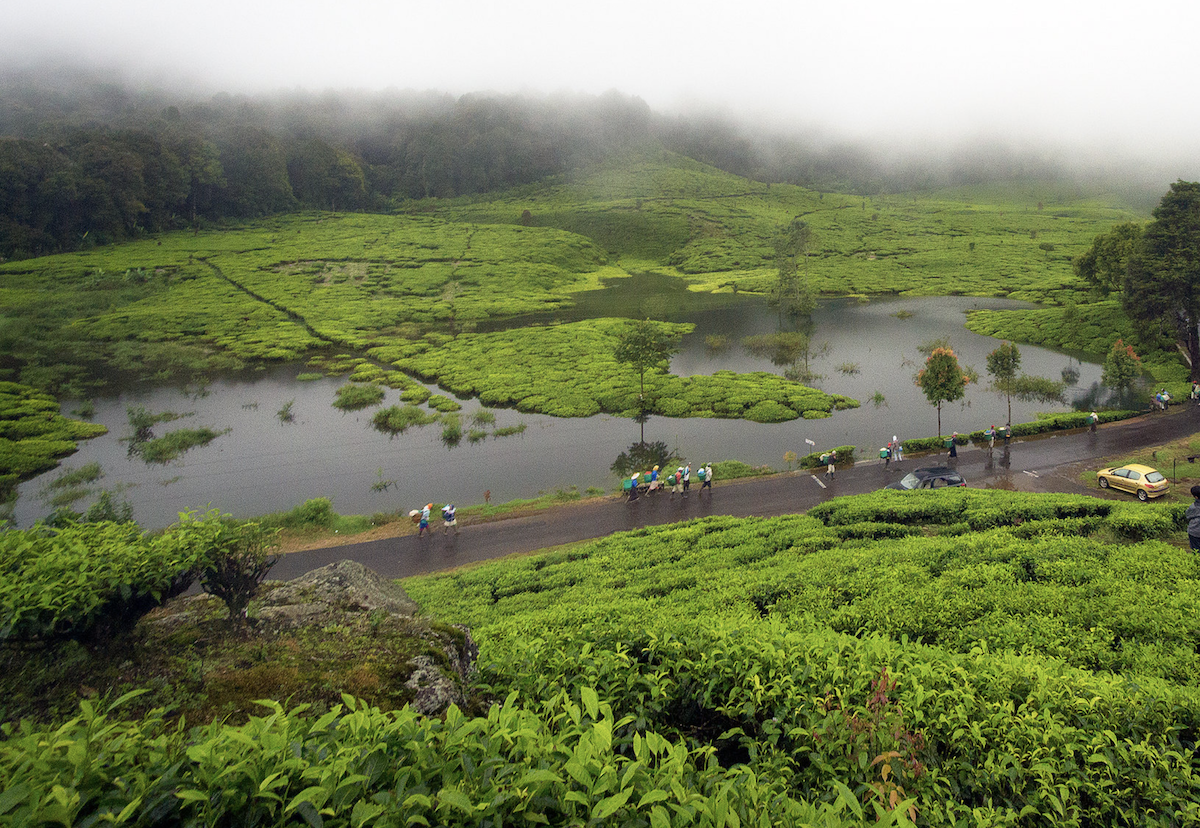 Indonesië's regenseizoenbestemmingen voor unieke avonturen