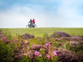 Speciale zomertips voor Wangerooge