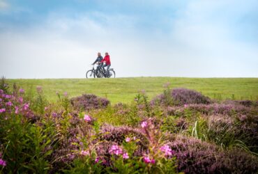 Speciale zomertips voor Wangerooge