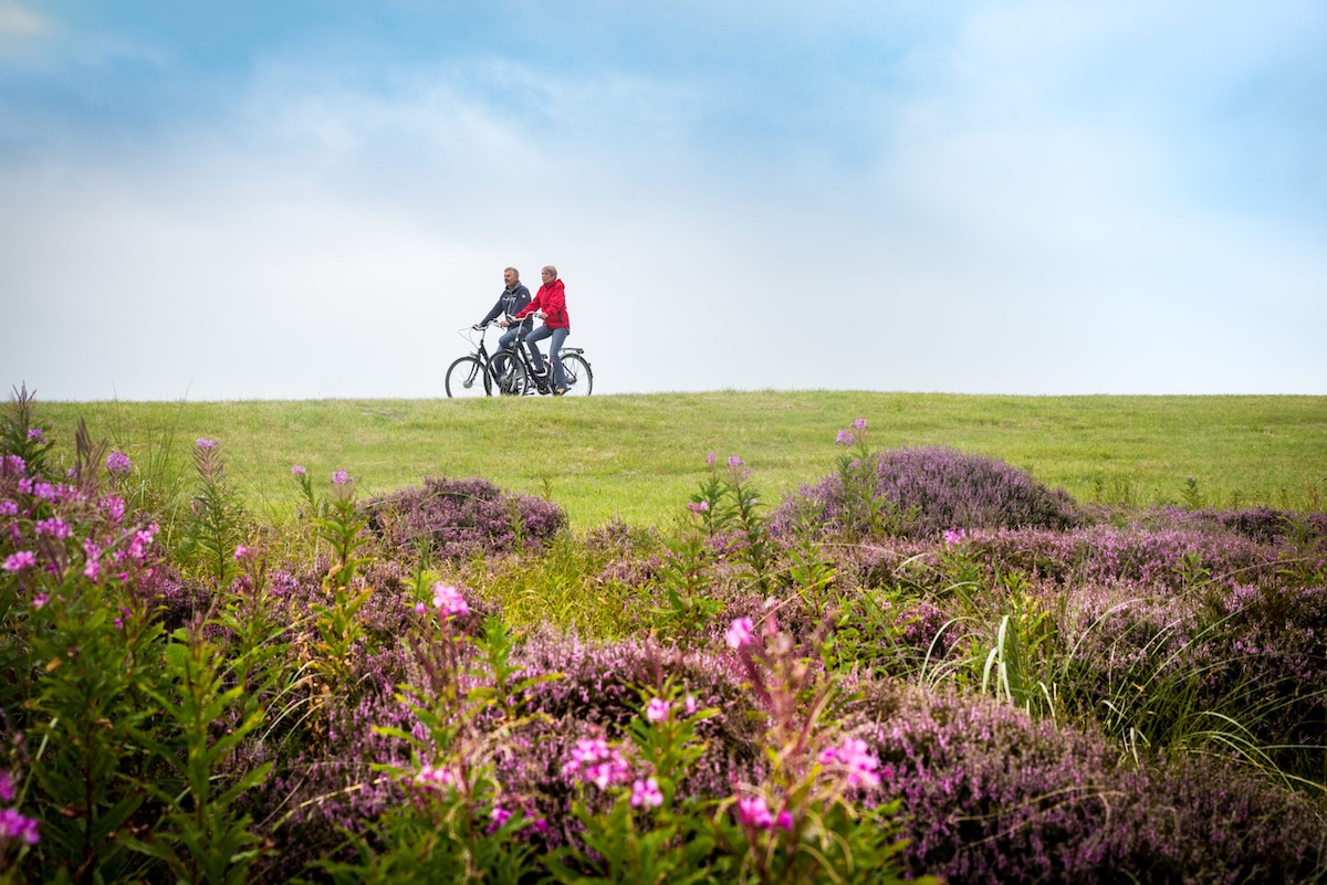 Speciale zomertips voor Wangerooge