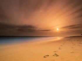 Wat te doen in Boa Vista?